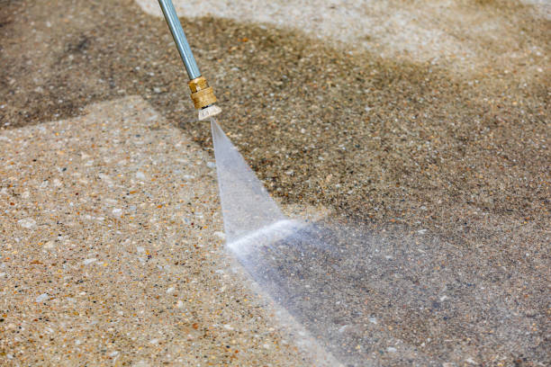 Best Pre-Holiday Cleaning  in Springfield, FL